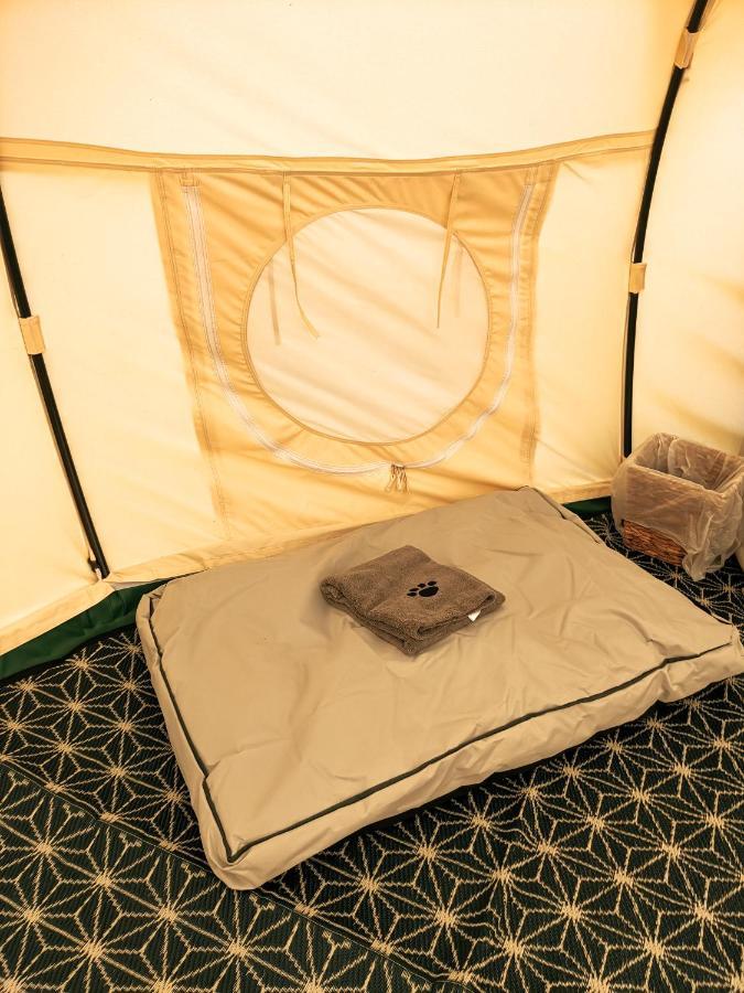 Immaculate Bell Tent Retreat North Devon Bideford Zewnętrze zdjęcie